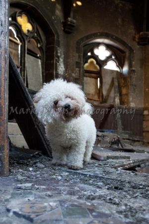 Bowling Cemetery Chapel december 24 2010 image 8 paddy.jpg